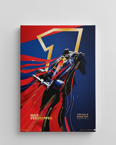 Max Verstappen: Champion